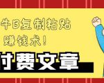 —牛B复制粘贴赚钱术!牛逼持久收入极品闷声发财项目,首发揭秘独此一家!-虚拟资源库