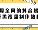 火爆全网的抖音“蚂蚁牙黑”视频制作教程,附软件【视频教程】-虚拟资源库