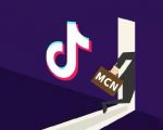 抖音MCN孵化课程,帮助商家拓客,帮助达人更好变现的课程,从0基础到超级IP-虚拟资源库