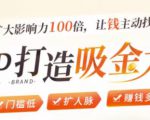 IP打造吸金术:0基础0资源,也能扩大影响力100倍,让钱主动找你!-虚拟资源库
