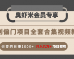 暴利偏门项目全套合集视频教程:你要的日赚1000+月入几万+项目都有-虚拟资源库