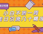 清和行记引流训练营:小白不到一周便能日引流几十精准粉-虚拟资源库