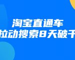 进阶战速课：淘宝直通车拉动搜索8天破千-虚拟资源库