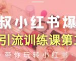 狼叔小红书爆款推广引流训练课第12期,手把手带你玩转小红书-虚拟资源库