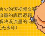 只说话就会火的短视频文案课,从根本上解决没流量的问题-虚拟资源库