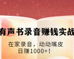 有声书录音赚钱实战:在家录音,动动嘴皮,日赚1000+!-虚拟资源库