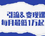 引流&变现课:分享一整套流量方法以及各个渠道收入,每月最低1万起!-虚拟资源库