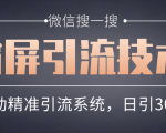 微信搜一搜霸屏引流技术,打造被动精准引流系统,轻松日引300+流量-虚拟资源库