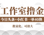 工作室撸金二件套:撸今日头条原创收益+小红书一单利润40块项目-虚拟资源库