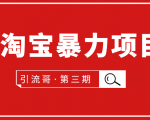 引流哥·第3期淘宝暴力项目:每天10-30分钟的空闲时间,有淘宝号,会玩淘宝-虚拟资源库