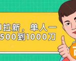 Paypal拉新赚美刀项目,单人一天利润500-1000刀【视频课程】-虚拟资源库