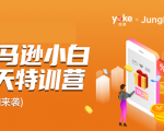雨课·亚马逊小白特训营第9期 跨境电商挺赚钱的 有朋友已经月入几十万美金-虚拟资源库