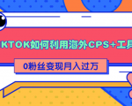 详细解析TIKTOK如何利用海外CPS+工具0粉丝轻松变现月入过万-虚拟资源库