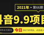 抖音9.9课程项目,没粉丝也能卖课,一天300+粉易变现-虚拟资源库