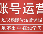 短视频账号运营课程:从话术到短视频运营再到直播带货全流程,新人快速入门-虚拟资源库