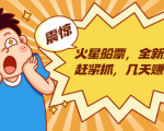 火星船票，全新风口赶紧抓，几天赚一万+摆地摊卖尾货月入一万（5个项目）-虚拟资源库