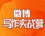 村西边老王·微博超级写作实战营,帮助你粉丝猛涨价值999元-虚拟资源库