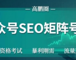 高鹏圈公众号SEO矩阵号群,实操20天纯收益25000+,普通人都能做-虚拟资源库