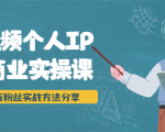 短视频个人IP商业实操课，百万粉丝实战方法分享，小白也能实现流量变现-虚拟资源库