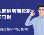 职业跨境电商卖家聊亚马逊:亚马逊运营的10项必备知识,12堂课让你看懂亚马逊运营-虚拟资源库