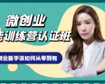 微创业全能训练营认证班课程，从理论知识与实际案例手把手指导创业新手如何从零到有-虚拟资源库