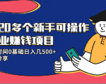 20多个新手可操作的副业赚钱项目：业余时间0基础日入几500+实操分享-虚拟资源库