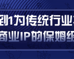 从0到1为传统行业打造抖音商业IP简单高效的保姆级攻略-虚拟资源库