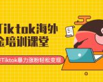 最新Tiktok海外掘金培训课堂：带你玩转Tiktok暴力涨粉轻松变现-虚拟资源库