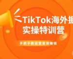 TikTok海外掘金实操特训营:手把手教运营变现赚钱-虚拟资源库