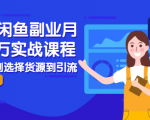 2021闲鱼副业月入过万实战课程:从开店到选择货源到引流,全程实战教学-虚拟资源库