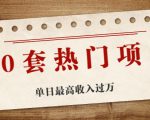 30套热门项目:单日最高收入过万 (网赚项目、朋友圈、涨粉套路、抖音、快手)等-虚拟资源库