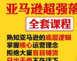 亚马逊超强落地实操全案课程:拒绝大量盲目铺货,日出千单不在话下-虚拟资源库