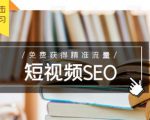 未来新趋势,布局短视频SEO,如何利用抖音SEO免费获得精准流量(3节课)-虚拟资源库