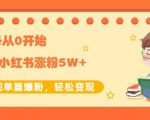生财小红书涨粉变现:新账号从0开始3个月小红书涨粉5W+实现单篇爆粉-虚拟资源库