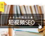 未来新趋势,布局短视频SEO,如何利用抖音SEO免费获得精准流量(3节课)-虚拟资源库