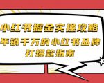 小红书掘金实操攻略,年销千万的小红书品牌打爆款指南-虚拟资源库