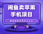 闲鱼卖苹果手机项目,教你闲鱼卖货月入上万-虚拟资源库