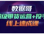 数据哥·超级带货运营+投手线上速成课,快速提升运营和熟悉学会投手技巧-虚拟资源库