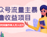 公众号流量主暴利撸收益项目,空闲时间操作单人月入过万-虚拟资源库