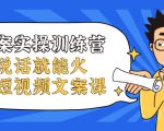 文案实操训练营,只说话就能火的短视频文案课-虚拟资源库