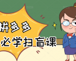 拼多多商家开店入门必学,0基础新手小白扫盲课(58节视频课程)-虚拟资源库