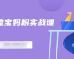 百度贴吧引流宝妈粉实战课,小白也可以日引100+精准粉-虚拟资源库
