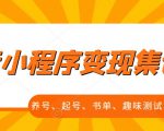 抖音小程序变现集训课,养号、起号、书单、趣味测试、视频剪辑,全套流程-虚拟资源库