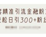 1套精准引流金融粉方法,轻松日引300+粉丝-虚拟资源库