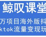 鲸叹号·海外TIKTOK训练营,百万项目海外版抖音tiktok流量变现玩法-虚拟资源库