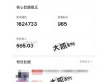 大凯进阶圈新玩法之拼多多视频玩法，利润大概一个号一天能有500~1500的左右!-虚拟资源库