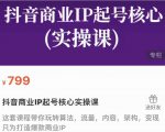 抖音商业IP起号核心实操课，带你玩转算法，流量，内容，架构，变现-虚拟资源库