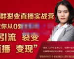 蚂蚁社群电商·社群裂变直播实战营,教你从0到1实现引流、裂变、直播、变现-虚拟资源库