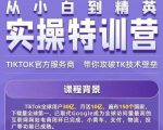Seven漆·2022Tiktok从小白到精英实操特训营,带你掌握Tiktok账号运营-虚拟资源库