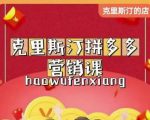 克里斯汀拼多多运营课,适合小白初涉平台,低成本入门-虚拟资源库